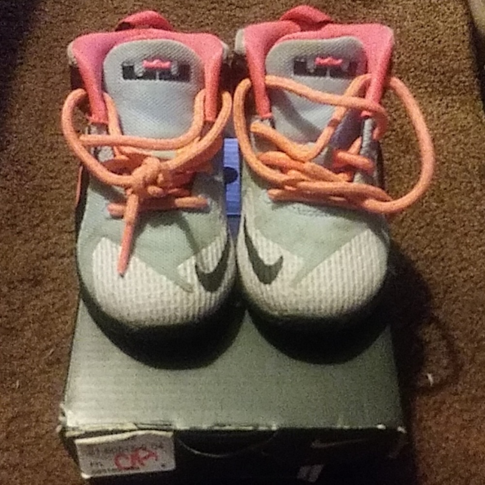 Lebron Shoes